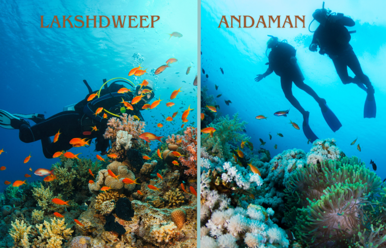Scuba Diving in India: Lakshadweep vs Andaman - A Detailed Comparison
