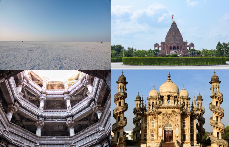 One Week in Gujarat: From Rann of Kutch to Gir