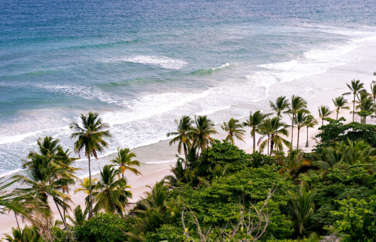 Discovering Tranquility: The Best Beaches on the Konkan Coast for a Quiet Escape